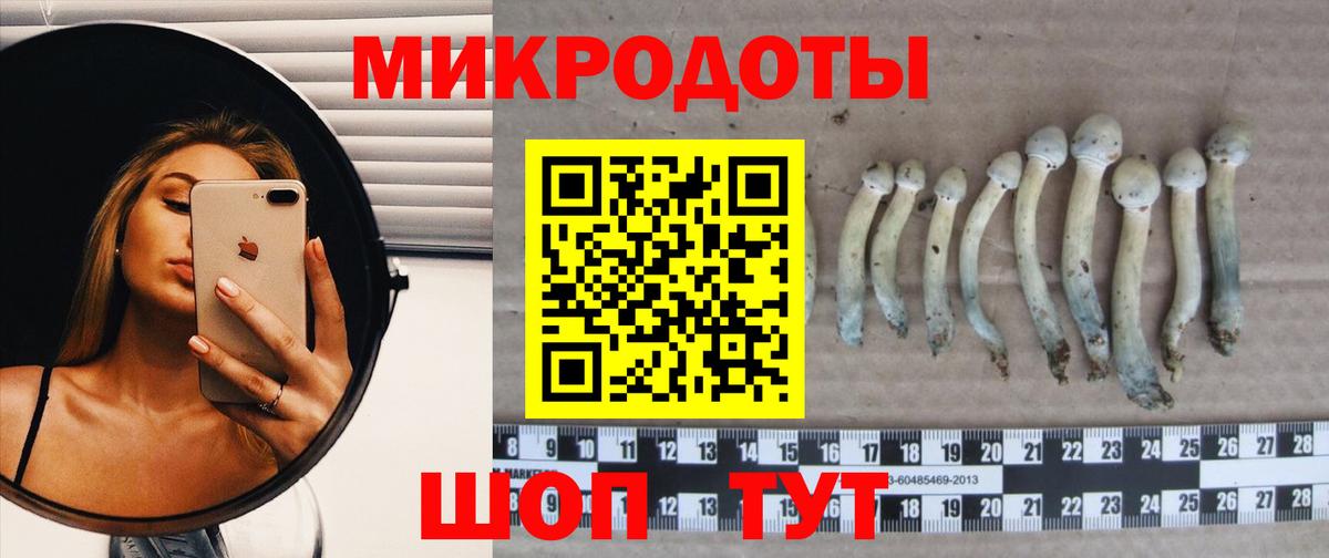 Сорочинск  Галлюциногенные грибы Psilocybine cubensis  Галлюциногенные грибы ЛСД  Вход с VPN 